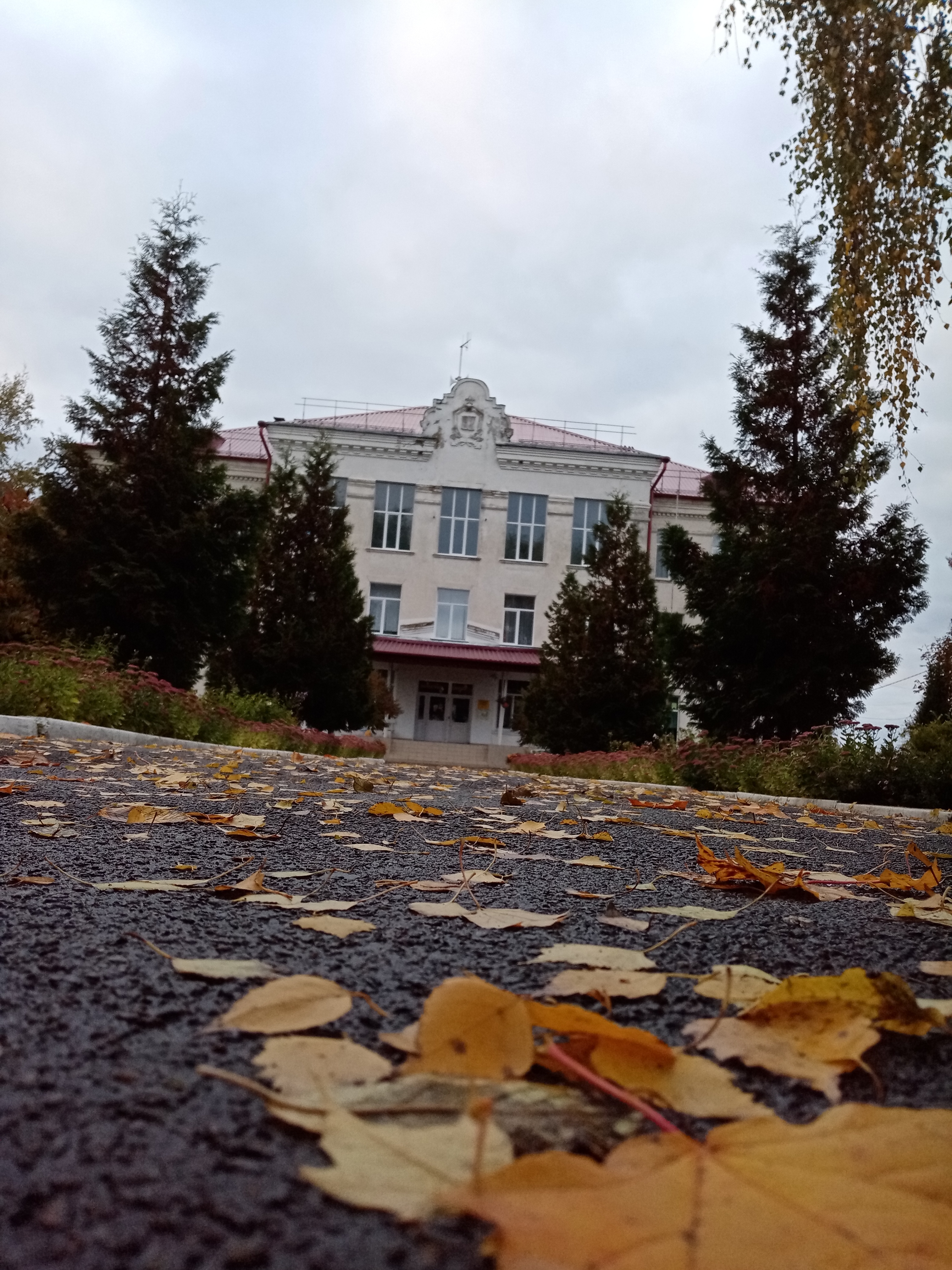 Правила приема, перевода, отчисления.